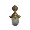 Goose Neck Wall Lantern Plain